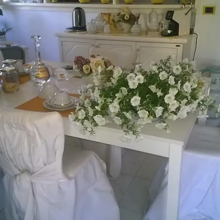 Bed and Breakfast Il Gelsomino Όλμπια